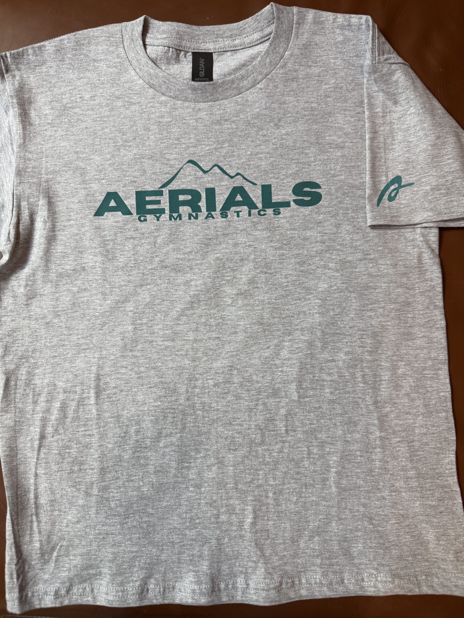 Aerials Peak T-shirt